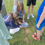 Portfolio - Joachimsdaalder 3