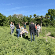 Portfolio 2 - De Sikkel