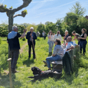 Portfolio 5 - De Sikkel